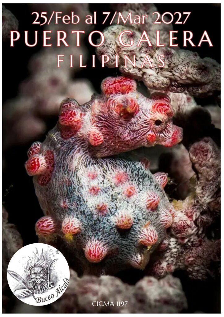 Filipinas. Puerto Galera 25 febrero/7 marzo 2027.